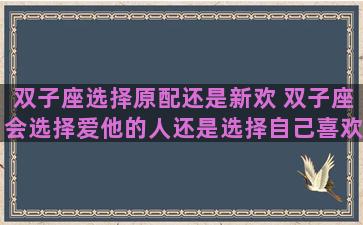 双子座选择原配还是新欢 双子座会选择爱他的人还是选择自己喜欢的人